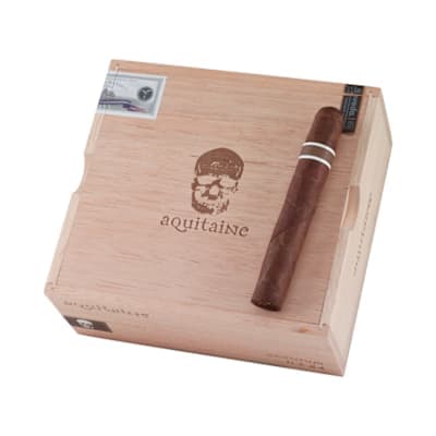 CroMagnon Aquitaine Cranium Natural
