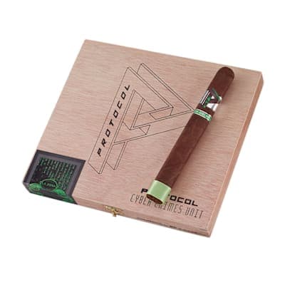 Protocol Cyber Crimes Natural